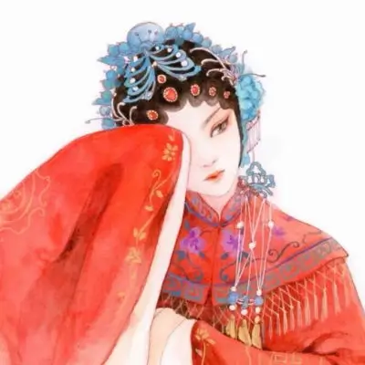 观众 白鸟过境 头像